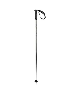 Bâtons de ski Carbon Poles 2020